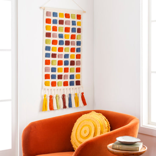 Colorful Grid Wall Hanging Style Shot CFG1000-4020