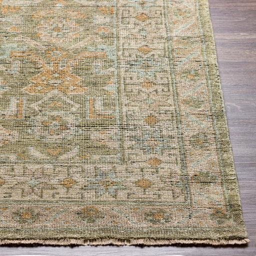 Rein Traditional Area Rug front detail REG2303-2610