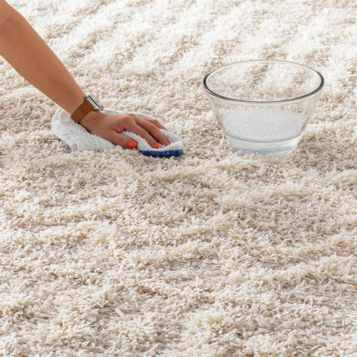 Rug Care USG2303-6796