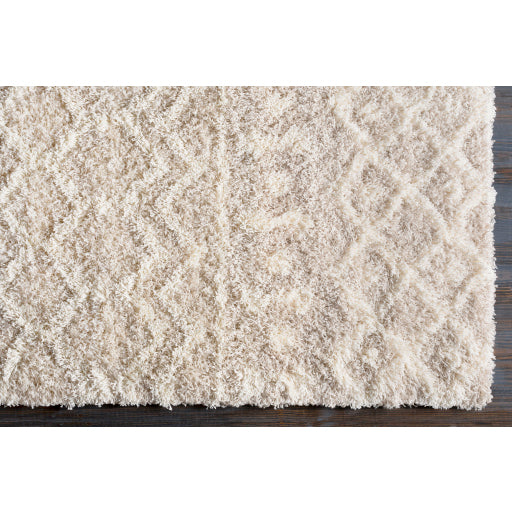 Surya Celestial Shag 27763 Shag Area Rugs